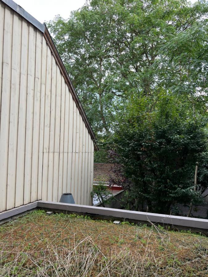 Le K Appartement - Strasbourg Exterior photo
